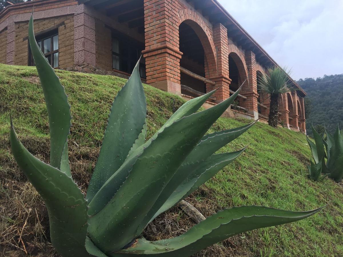 Rancho Escondido Casa Goyri Hotell Tlaxco Exteriör bild