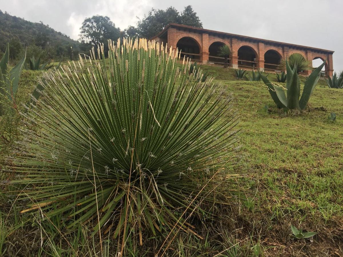 Rancho Escondido Casa Goyri Hotell Tlaxco Exteriör bild